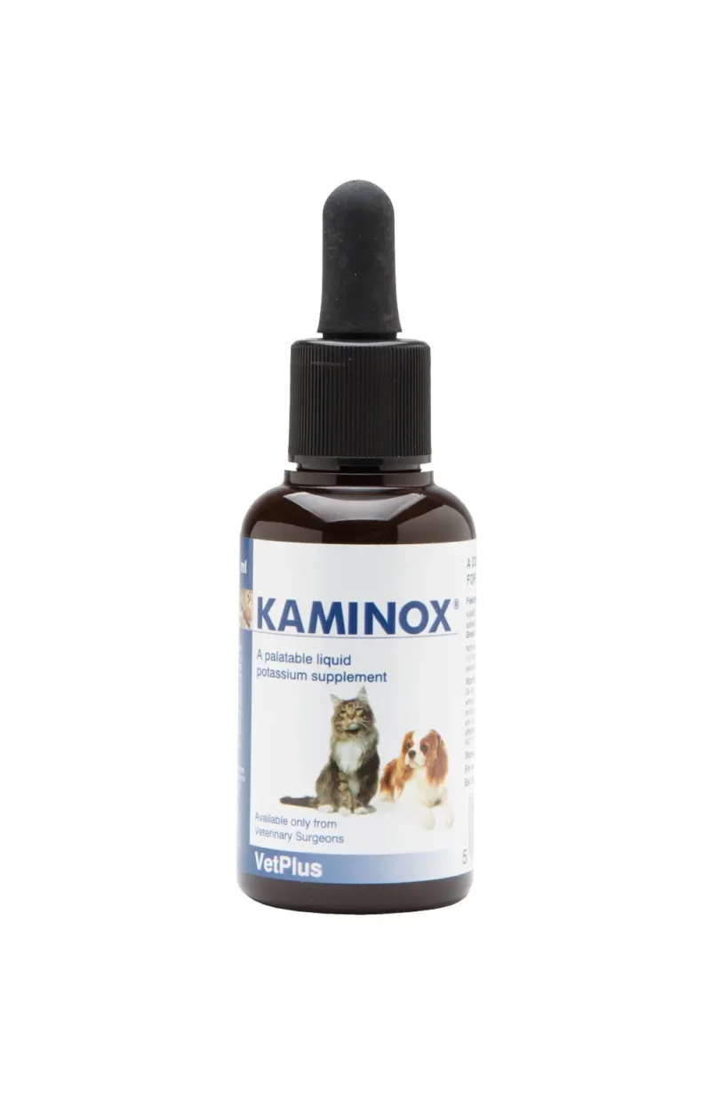KAMINOX 120ML (NDR)