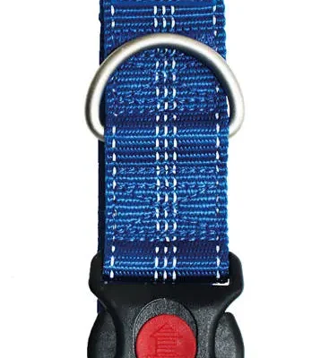 FREEDOG COLLAR PLUS XL NYLON AZUL 40MM 55/75CM