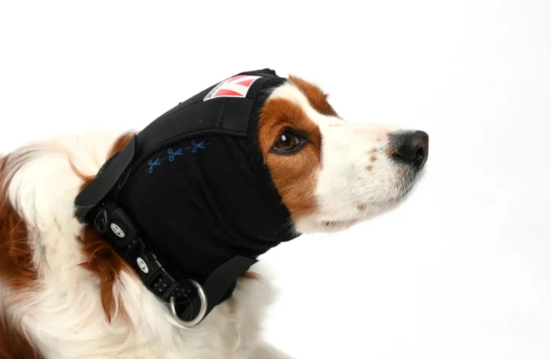 PROTECTOR AURICULAR TALLA XS 1UD BUSTER