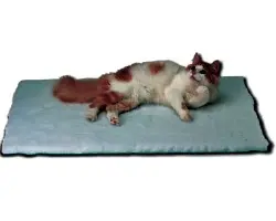VET BED KRUUSE 137 X 92 CM, GRIS