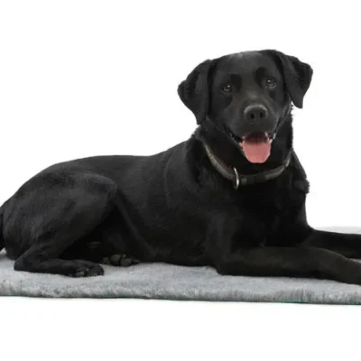 VET BED KRUUSE 102 X 76 CM, GRIS