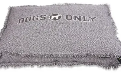 FUNDA BOXBED DOGS ONLY GRIS 120X80