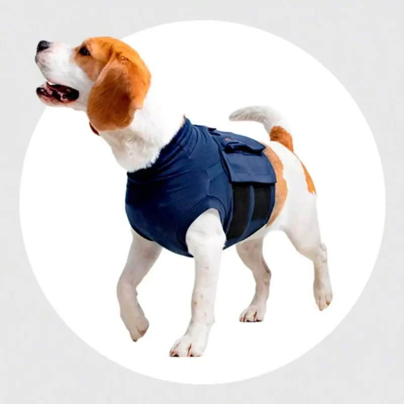 CAMISETA PROTECTORA PARA PERRO M 55CM AZUL BRAUN (NDR)