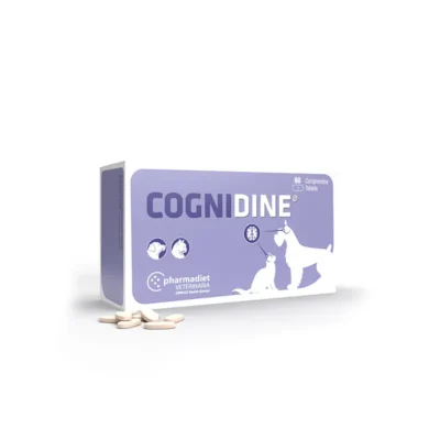 COGNIDINE 60CPD