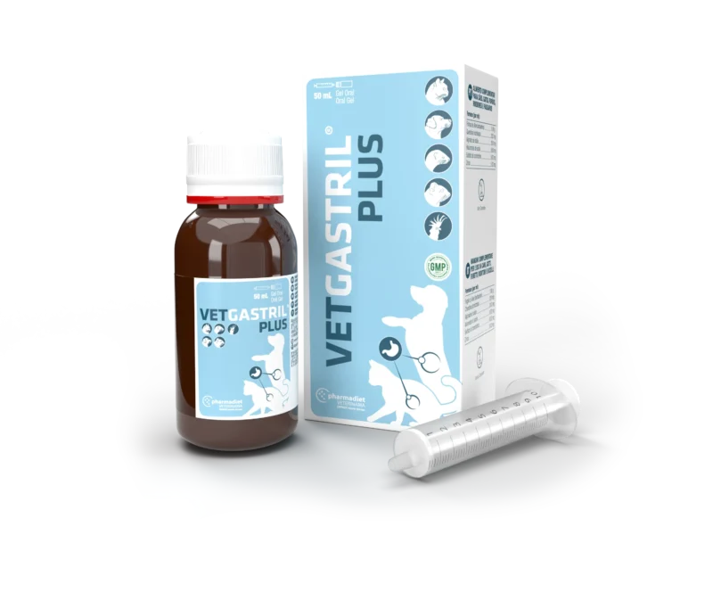VETGASTRIL PLUS 50ML (NDR)