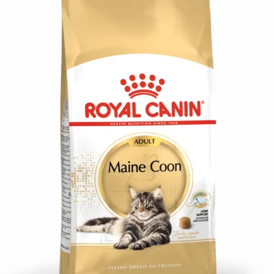 ROYAL FELINE ADULT MAINE COON 31 4KG