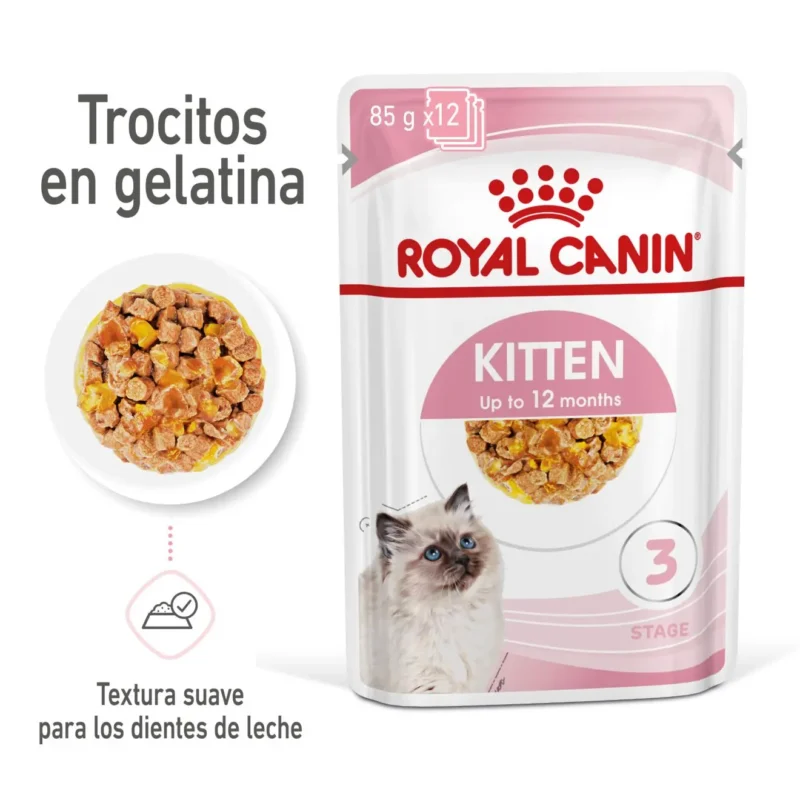 ROYAL FELINE KITTEN GELATINA 12X85GR