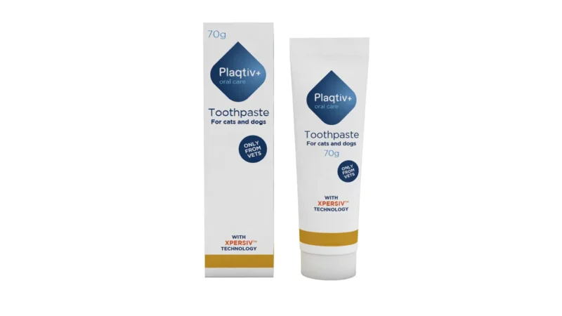 PLAQTIV + DENTIFRICO 70GR