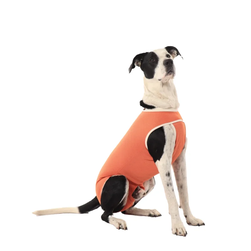 LUNA & MILO COPPERBODY BODY DE COBRE CASTRATION TALLA 12
