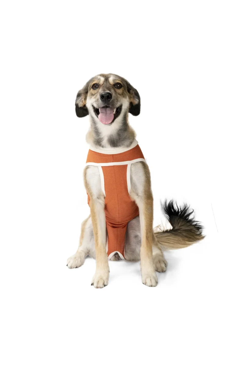 LUNA & MILO COPPERBODY BODY DE COBRE CLASSIC TALLA 5