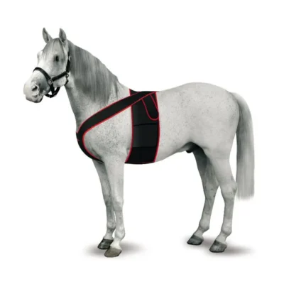 KRUUSE TELEVET SOPORTE PARA ELECTRODOS L KRUUSE