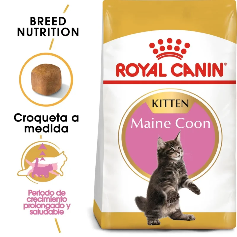 ROYAL FELINE KIITEN MAINE COON 36 10KG