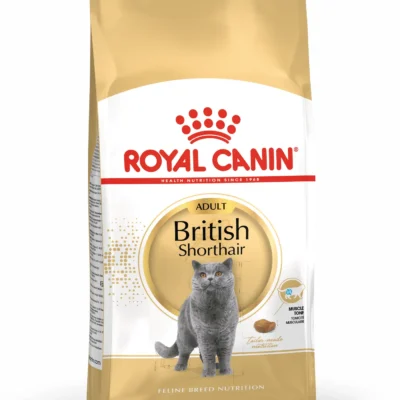 ROYAL FELINE ADULT BRITISH SHORTHAIR  10KG