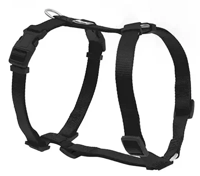 FREEDOG ARNES NYLON BASIC NEGRO 25MM 70/90CM