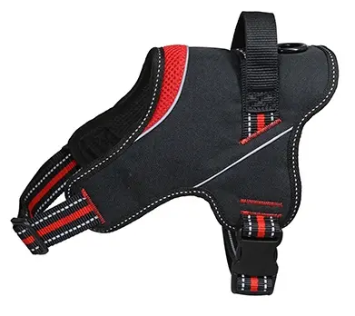 FREEDOG ARNES STRONG ROJO XS CUELLO 28/36CM PECHO 38/46CM