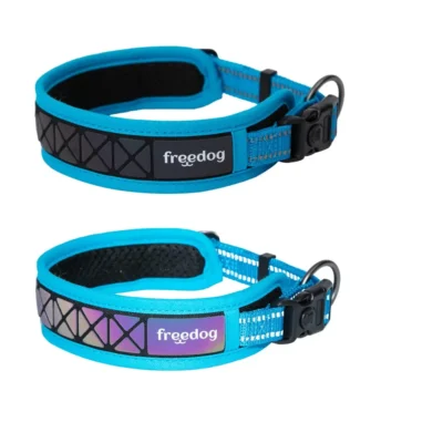 FREEDOG COLLAR BOREAL AZUL CAPRI 20MM 43/52CM