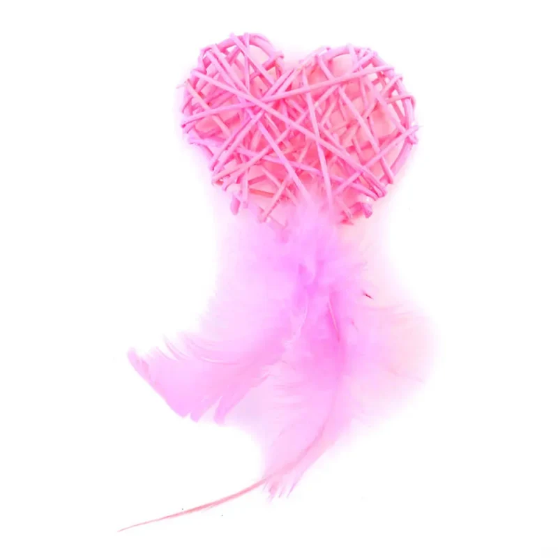 FREEDOG CORAZON CON PLUMERO 13 X 6,5CM ROSA