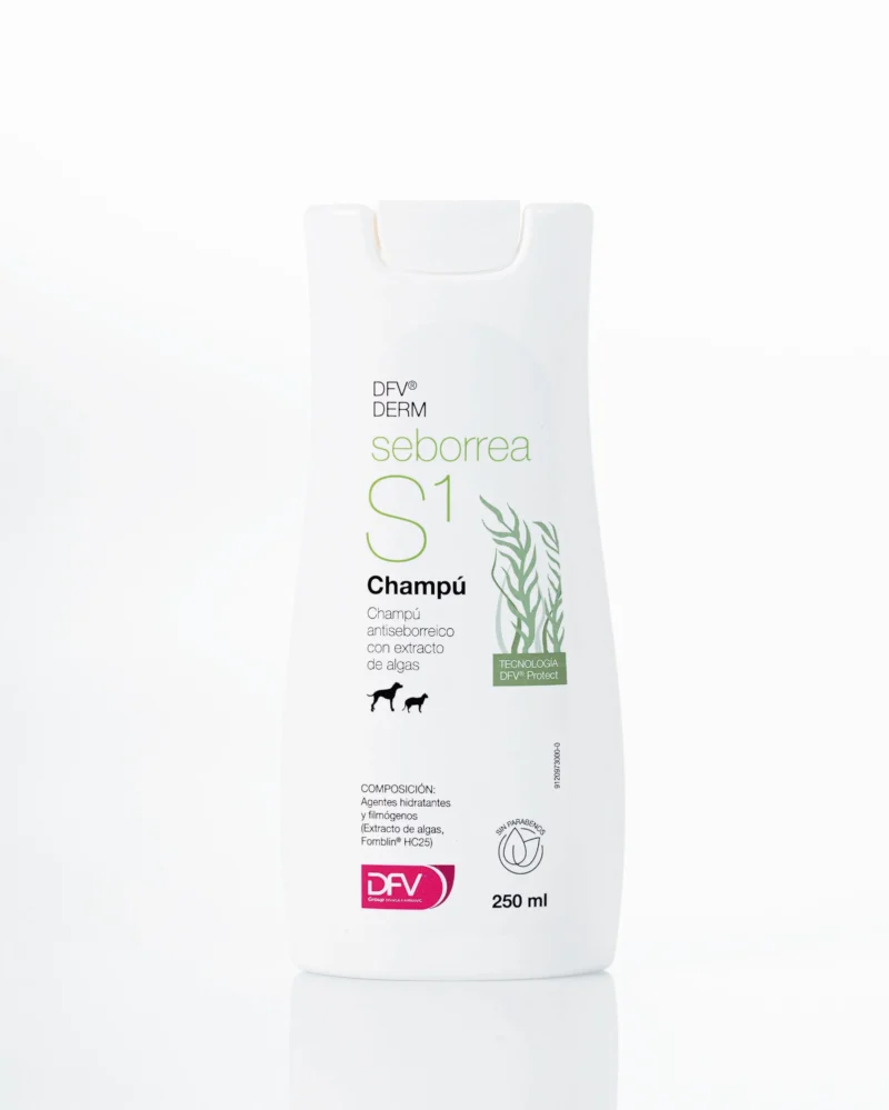 DFV DERM CHAMPU SEBORREA S1 250ML