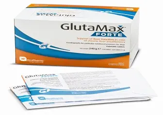 GLUTAMAX FORTE 120 COMPRIMIDOS (NDR)