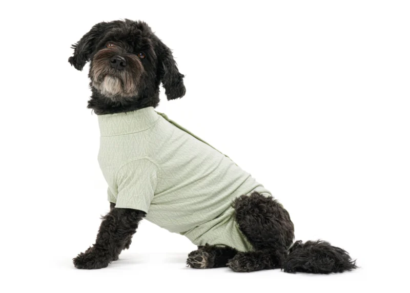 BODY SUIT PARA PERRO BUSTER STEP GO VERDE M 1U BAMBU