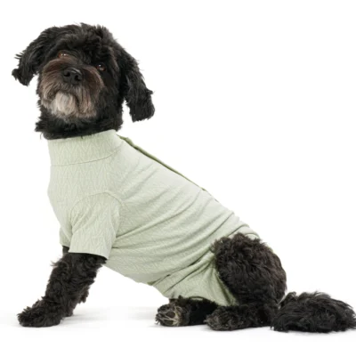 BODY SUIT PARA PERRO BUSTER SSTEP GO VERDE L 1U BAMBU