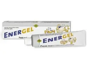ENERGEL PASTA ORAL 100GR