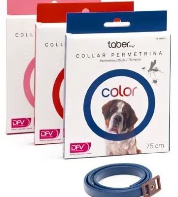 TABERDOG COLLAR PERMETRINA 75CM AZUL