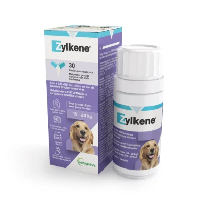 ZYLKENE 450MG 30CAP
