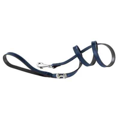 FERPLAST CORREA MODA G20 100 AZUL