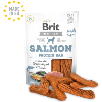 BRIT JERKY SNACK PROTEIN BAR SALMON 80GR