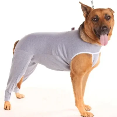 PROTECTOR EXTREMIDAD POSTERIOR DRY CONFORT T7 1UD PETMED