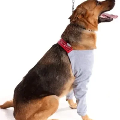 PROTECTOR EXTREMIDAD ANTERIOR DRY CONFORT T6 1UD PETMED