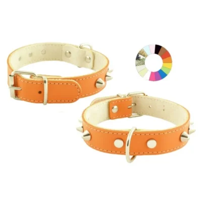 COLLAR MOUNTAIN CO2F VL 49-58 L650 A35