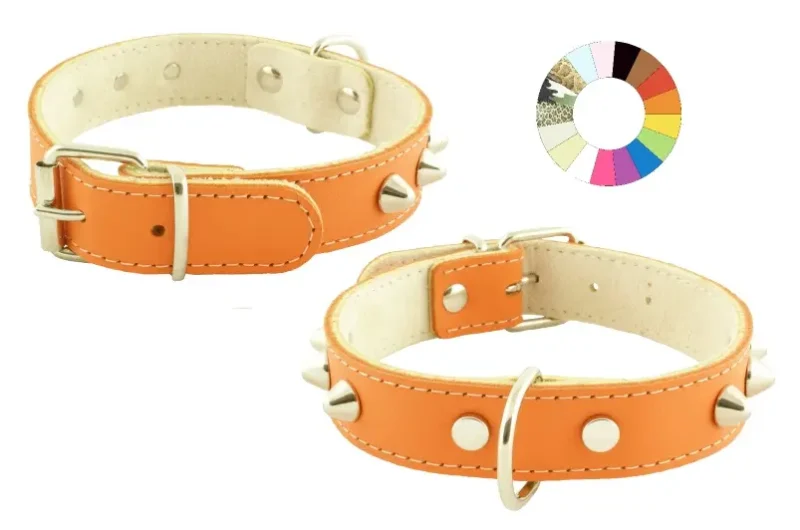COLLAR MOUNTAIN CO1F PT 40-46 L500 A25