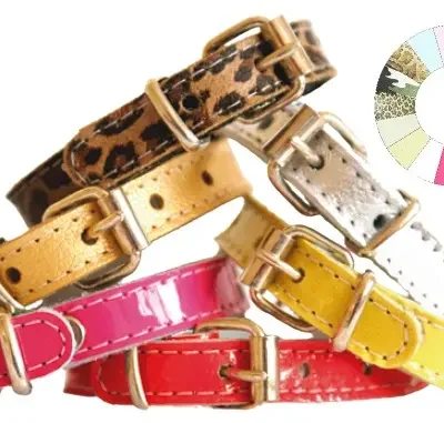 COLLAR LITTLE CHAROL BCO 23-27 L300 A14