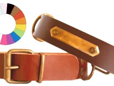 COLLAR LEATHER CLASS MR2 59-68 L750 A40