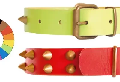 COLLAR LEATHER CLASS CO1F MR2 34-43 L500 A30