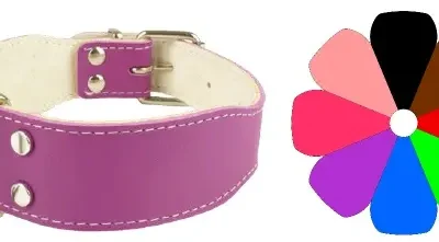 COLLAR BULL-DOG PT 55-64 L700 A40