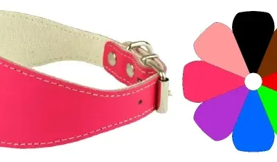 COLLAR GALGO ORO 26-36 L400 A55