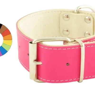 COLLAR BIG MOUNTAIN VER 30-40 L450 A40
