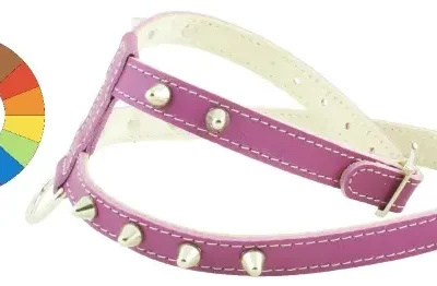 ARNES LITTLE CO1F LEOP A16 C400/29-35 P550/44-50