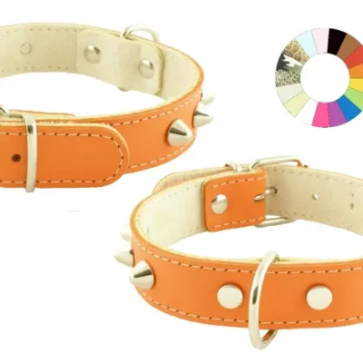 COLLAR MOUNTAIN CO1F FLUOR NJ 35-41 L450 A25