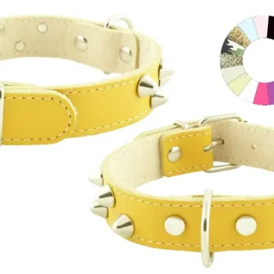 COLLAR MOUNTAIN CO2F FLUOR VER 35-41 L450 A25