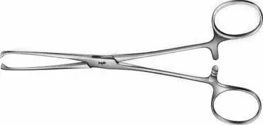 PINZA ARTERIA-TEJIDOS ALLIS 155MM BRAUN (NDR)