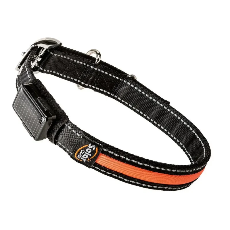 FERPLAST COLLAR SOLAR NIGHT LARGE