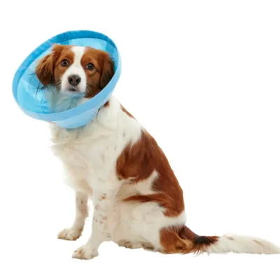 BUSTER COLLAR SOFT FLEX 30CM 5U KRUUSE