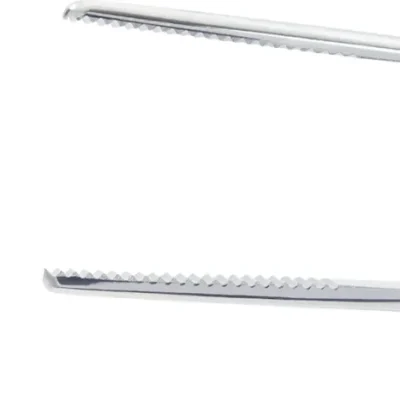 341080 PINZA DISECCION PUNTA SERRADA 18CM