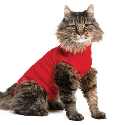 CAMISETA PROTECTORA PARA GATO XS 40CM ROJA BRAUN (NDR)